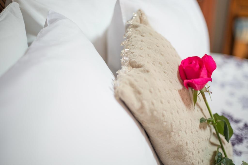 Hotel Eden De Los Angeles San Miguel de Allende Ngoại thất bức ảnh
